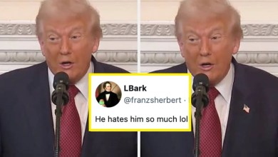 People Cannot Believe Trump’s Latest Comments Dissing JD Vance People Cannot Believe Trump’s Latest Comments Dissing JD Vance