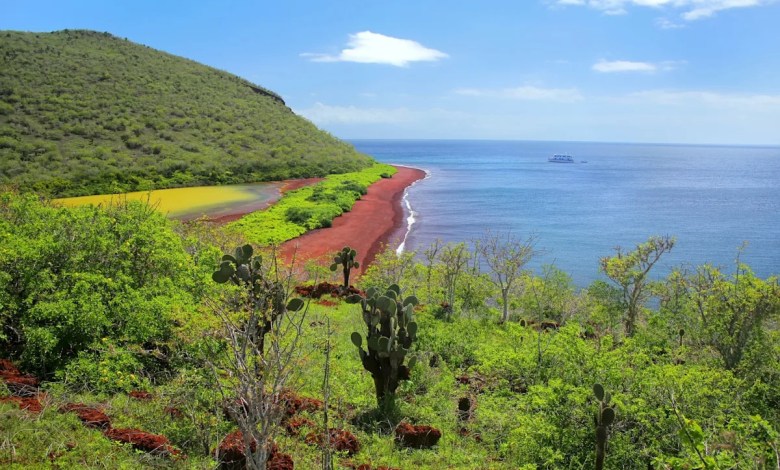 ‘One of the most historic comebacks ever’ ‘One of the most historic comebacks ever’