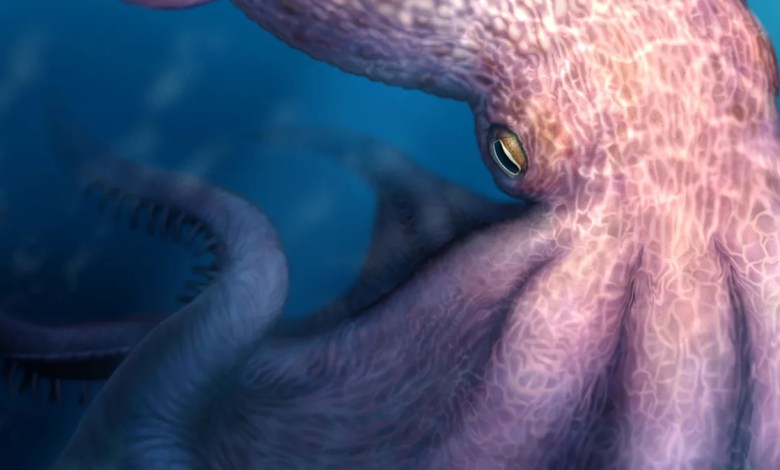 Meet the 19-metre octopus that prowled the ancient seas Meet the 19-metre octopus that prowled the ancient seas