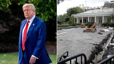New Photos Show Latest as White House Rose Garden Is Bulldozed, Paved Over as Part of President Donald Trump’s Renovation Plan New Photos Show Latest as White House Rose Garden Is Bulldozed, Paved Over as Part of President Donald Trump’s Renovation Plan
