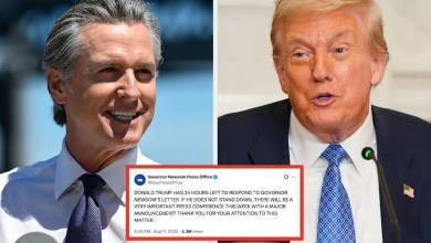 Gavin Newsom’s ALL CAPS Tweet Mocking Donald Trump Is Way Funnier Than It Should Be Gavin Newsom’s ALL CAPS Tweet Mocking Donald Trump Is Way Funnier Than It Should Be