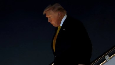 Trump, 79, Slumps Into Limo After Successfully Navigating Air Force One Steps Trump, 79, Slumps Into Limo After Successfully Navigating Air Force One Steps