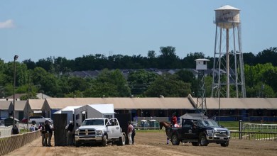 Colt making his racing debut dies after a race at Laurel, the day before the Preakness Colt making his racing debut dies after a race at Laurel, the day before the Preakness