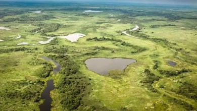 Video of giant snake in unexpected location sparks outrage: ‘A pretty big problem’ Video of giant snake in unexpected location sparks outrage: ‘A pretty big problem’