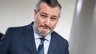 Trump accounts are Social Security personal accounts as GOP senator reveals ‘dirty little secret’ Trump accounts are Social Security personal accounts as GOP senator reveals ‘dirty little secret’