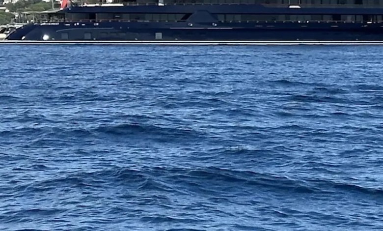 ‘I have a hard time understanding this’ ‘I have a hard time understanding this’