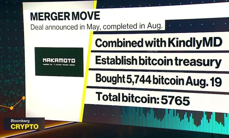 Backed 16 Global Digital Asset Companies: David Bailey Backed 16 Global Digital Asset Companies: David Bailey