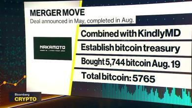 Backed 16 Global Digital Asset Companies: David Bailey Backed 16 Global Digital Asset Companies: David Bailey