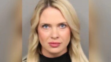 South Carolina Boutique Owner Arrested Again — for 15th Time in 2026 — After Customer Complaints South Carolina Boutique Owner Arrested Again — for 15th Time in 2026 — After Customer Complaints