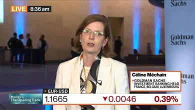 France Remains Attractive to Investors, Goldman Says France Remains Attractive to Investors, Goldman Says