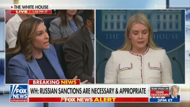 ‘This Is the People’s House!’ ABC’s Mary Bruce Spars With Karoline Leavitt Over East Wing Demolition for Trump Ballroom ‘This Is the People’s House!’ ABC’s Mary Bruce Spars With Karoline Leavitt Over East Wing Demolition for Trump Ballroom