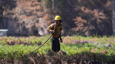 Growing wildfire that has destroyed nearly 90 homes in Georgia forces new evacuations Growing wildfire that has destroyed nearly 90 homes in Georgia forces new evacuations