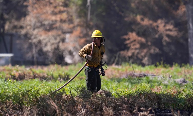 Growing wildfire that has destroyed nearly 90 homes in Georgia forces new evacuations Growing wildfire that has destroyed nearly 90 homes in Georgia forces new evacuations