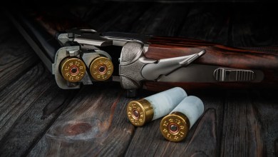 Federal government offers hunters cash to make key change to how they hunt: ‘We are committed’ Federal government offers hunters cash to make key change to how they hunt: ‘We are committed’