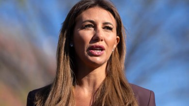 Former Trump lawyer Alina Habba disqualified as New Jersey prosecutor, US appeals court rules Former Trump lawyer Alina Habba disqualified as New Jersey prosecutor, US appeals court rules