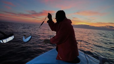 Cypriot fishermen battle invasive lionfish and turn them into a tavern delicacy Cypriot fishermen battle invasive lionfish and turn them into a tavern delicacy