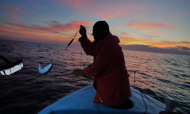 Cypriot fishermen battle invasive lionfish and turn them into a tavern delicacy Cypriot fishermen battle invasive lionfish and turn them into a tavern delicacy