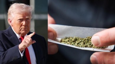US set to move to reclassify marijuana as early as Wednesday, Axios reports US set to move to reclassify marijuana as early as Wednesday, Axios reports