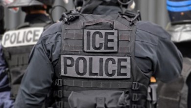 Judge orders ICE chief to appear in court to explain why detainees have been denied due process Judge orders ICE chief to appear in court to explain why detainees have been denied due process