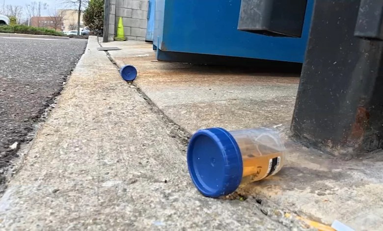 Medical waste, including syringes and urine samples, found along NJ creek Medical waste, including syringes and urine samples, found along NJ creek