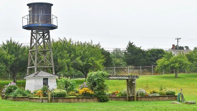 South Coast Harvest Festival returns for 3rd year to Westport Fairgrounds. What to know South Coast Harvest Festival returns for 3rd year to Westport Fairgrounds. What to know