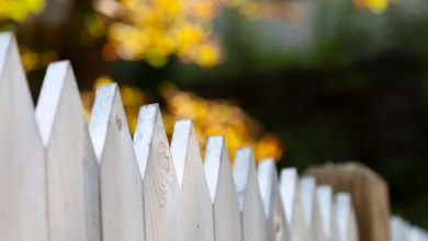Is your neighbor’s fence on your property? Here’s what the City of Manitowoc says to do. Is your neighbor’s fence on your property? Here’s what the City of Manitowoc says to do.