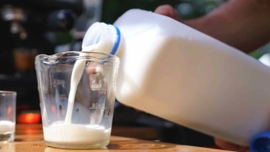 A New Study Just Linked One Particular Kind of Milk to Better Muscle and Bone Health A New Study Just Linked One Particular Kind of Milk to Better Muscle and Bone Health