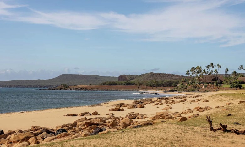 Hawaiians unite to buy back land from billionaire in a move never seen before Hawaiians unite to buy back land from billionaire in a move never seen before