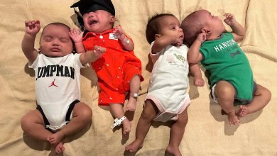 Mom of 7 ‘Couldn’t Believe’ She Was Pregnant with Ultra-Rare Quadruplets, 3 of Whom Are Identical (Exclusive) Mom of 7 ‘Couldn’t Believe’ She Was Pregnant with Ultra-Rare Quadruplets, 3 of Whom Are Identical (Exclusive)