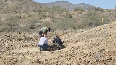 Sheriff’s Office investigate human remains found in central Arizona ghost town Sheriff’s Office investigate human remains found in central Arizona ghost town