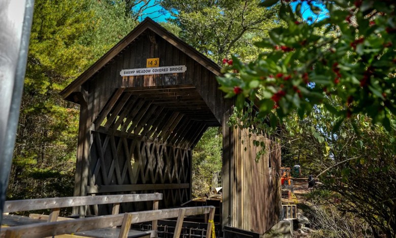 5 things to know about Foster 5 things to know about Foster