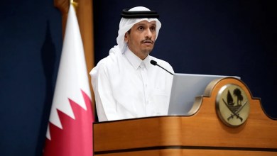 Qatari PM, Egyptian president back efforts to reach Gaza ceasefire Qatari PM, Egyptian president back efforts to reach Gaza ceasefire
