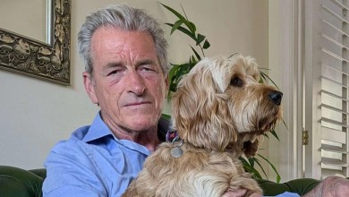 Dog walker beaten with hockey stick by top horse trainer says his jail term is too soft Dog walker beaten with hockey stick by top horse trainer says his jail term is too soft