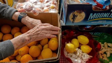 After cuts to food stamps, Trump administration ends government’s annual report on hunger in America After cuts to food stamps, Trump administration ends government’s annual report on hunger in America