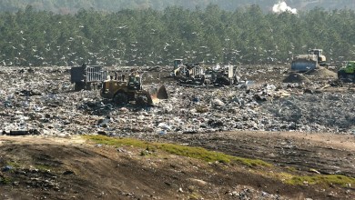 When is trash pickup around Christmas for New Hanover towns? When is trash pickup around Christmas for New Hanover towns?