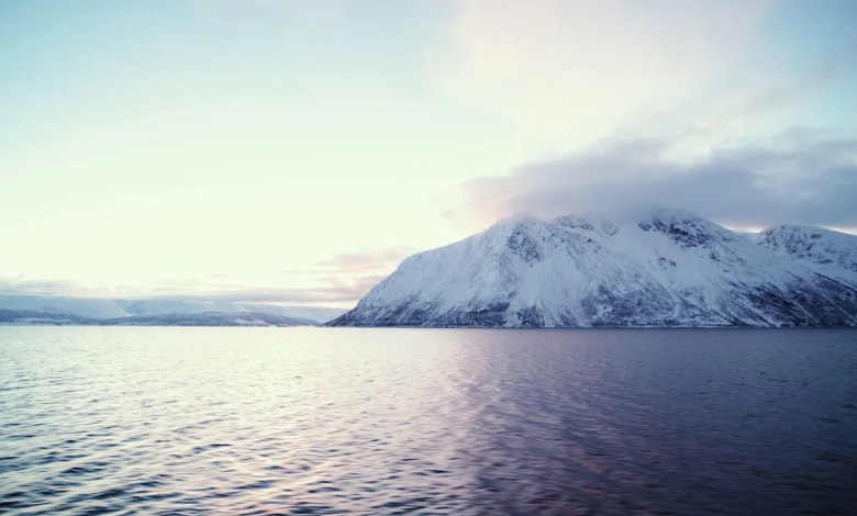 Hiker stunned after stumbling upon 1,500-year-old device in mountains: ‘The most unexpected discovery’ Hiker stunned after stumbling upon 1,500-year-old device in mountains: ‘The most unexpected discovery’