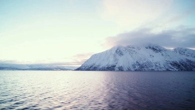 Hiker stunned after stumbling upon 1,500-year-old device in mountains: ‘The most unexpected discovery’ Hiker stunned after stumbling upon 1,500-year-old device in mountains: ‘The most unexpected discovery’