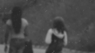 Massive California brothel network dismantled; 2 arrest in yearlong probe Massive California brothel network dismantled; 2 arrest in yearlong probe