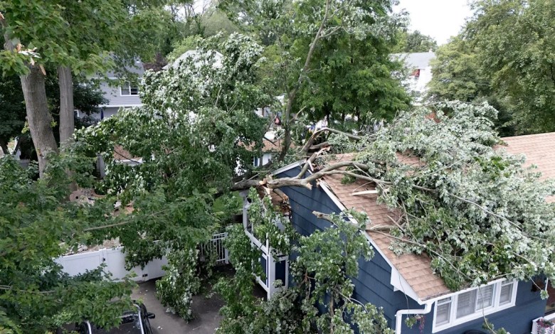 who’s paying? Here’s what NJ law says who’s paying? Here’s what NJ law says