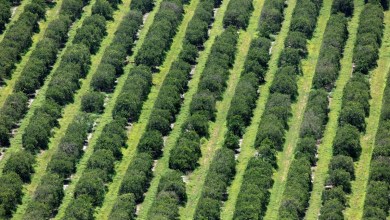 ‘Going to take a number of years’ ‘Going to take a number of years’