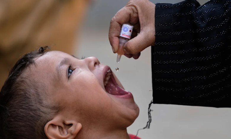 Pakistan’s polio cases fell by half in 2025 despite attacks on vaccination teams Pakistan’s polio cases fell by half in 2025 despite attacks on vaccination teams