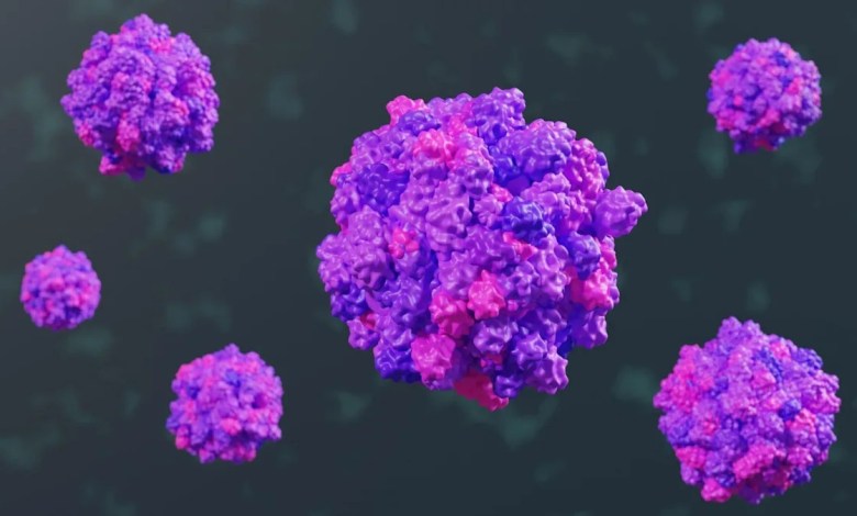 Highly contagious norovirus spreading across the U.S. ahead of holidays Highly contagious norovirus spreading across the U.S. ahead of holidays