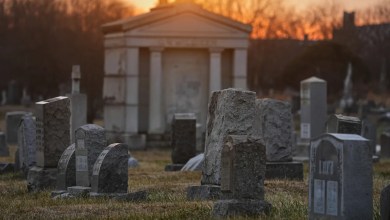 100 skulls and mummified body parts found in a Pennsylvania grave robbery case, police say 100 skulls and mummified body parts found in a Pennsylvania grave robbery case, police say