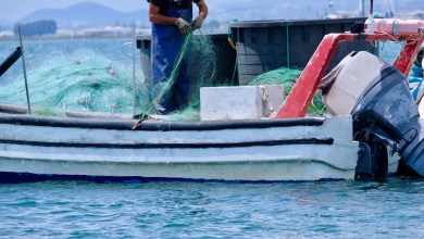 ‘We saw an orange glow below the water’ ‘We saw an orange glow below the water’