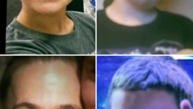 Rescuers find grandmother and 3 grandchildren who went missing on a hike in South Carolina Rescuers find grandmother and 3 grandchildren who went missing on a hike in South Carolina