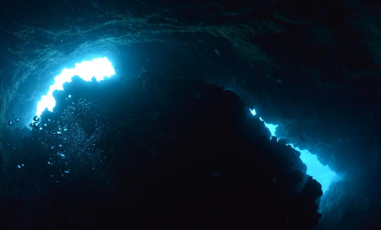 ‘What we saw inside some caves was shocking’ ‘What we saw inside some caves was shocking’