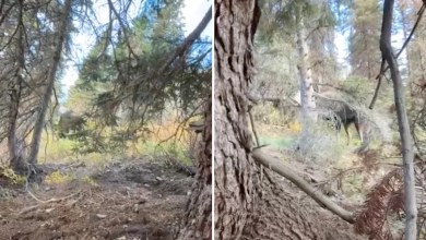 ‘I did not anticipate how scary it would be’ ‘I did not anticipate how scary it would be’