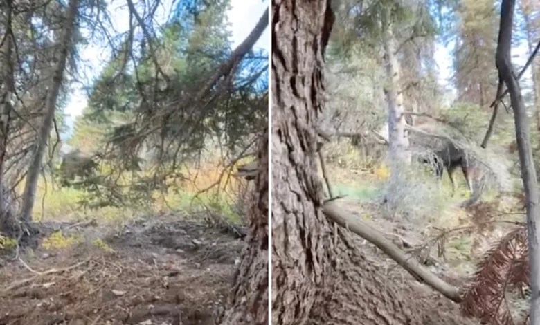 ‘I did not anticipate how scary it would be’ ‘I did not anticipate how scary it would be’