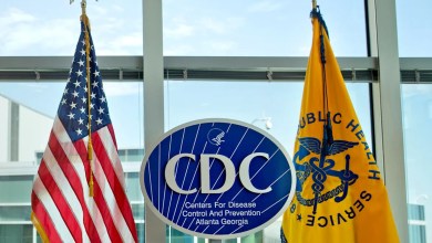 CDC warns of drug-resistant salmonella infections linked to backyard poultry CDC warns of drug-resistant salmonella infections linked to backyard poultry