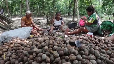 Brazil to blast channel in Amazon river to increase shipping Brazil to blast channel in Amazon river to increase shipping